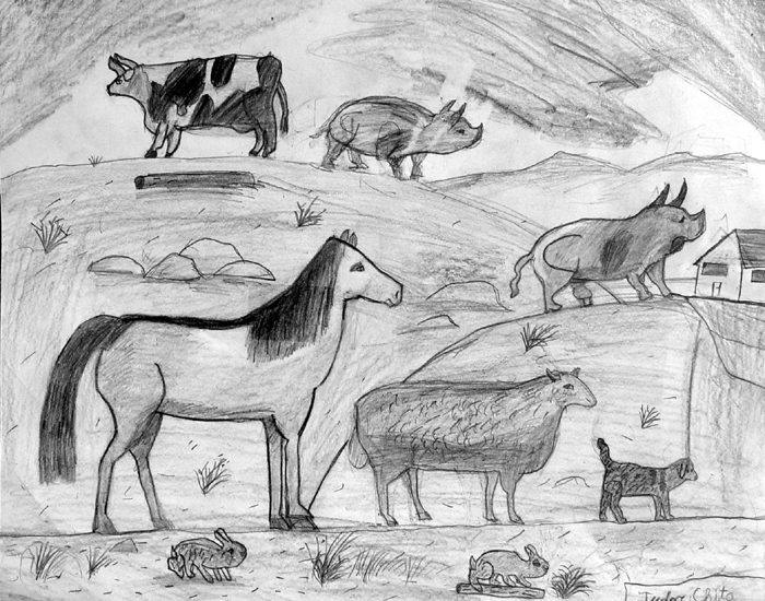 Animals_2