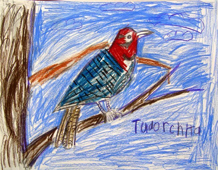 Bird_2