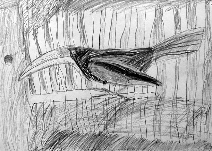 Bird_4
