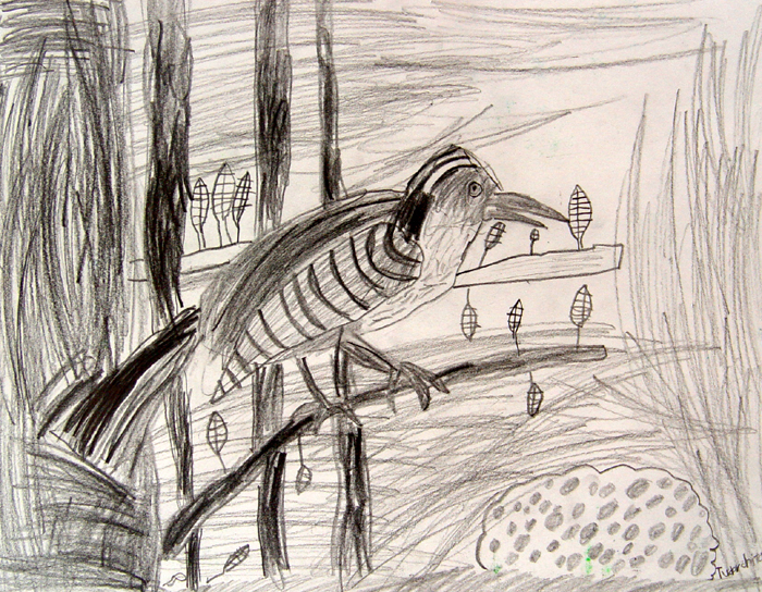 Bird_6