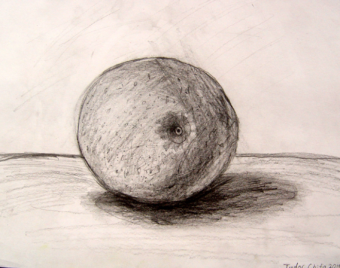 Drawing_1