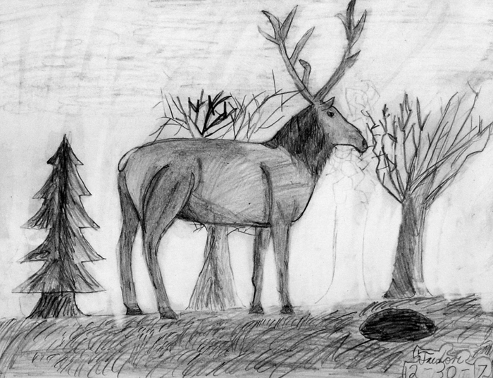 Elk