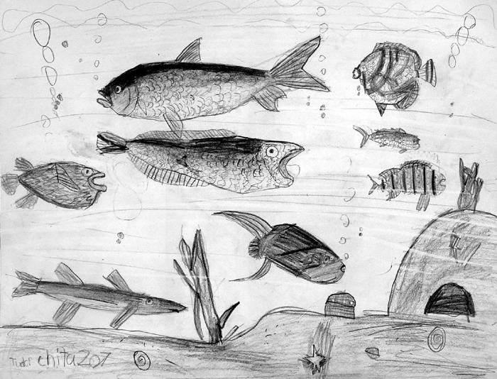 Fish