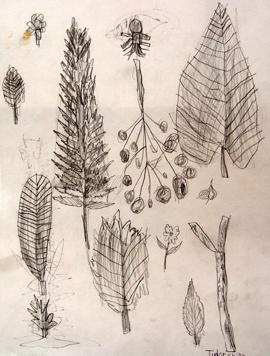 Sketches