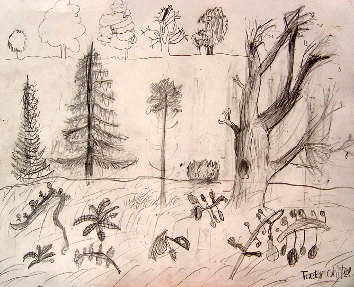 Sketches_2