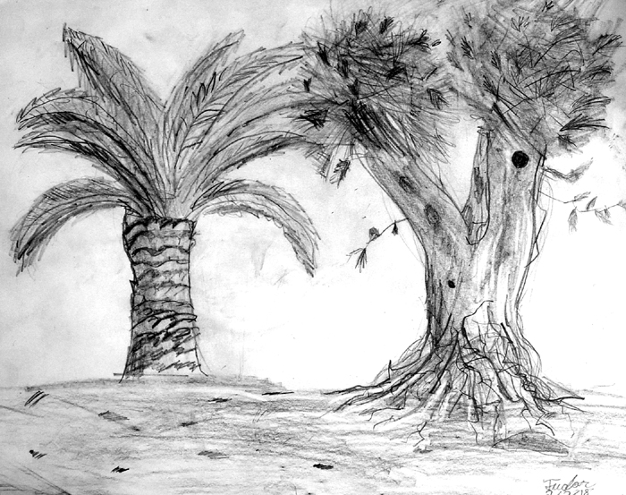 Trees_2