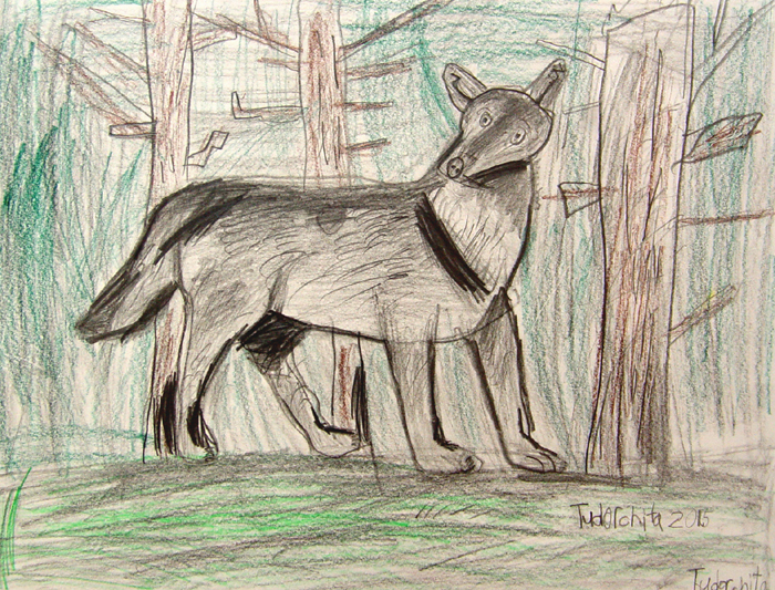 Wolf