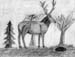 Elk