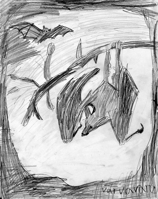 Bat