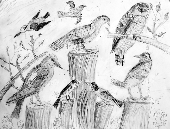 Birds
