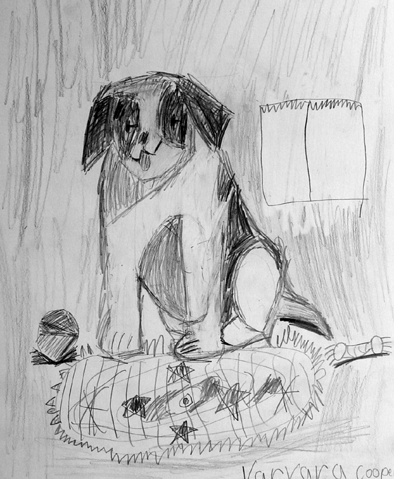 Dog