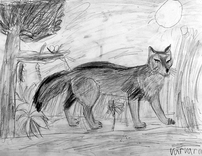 Fox