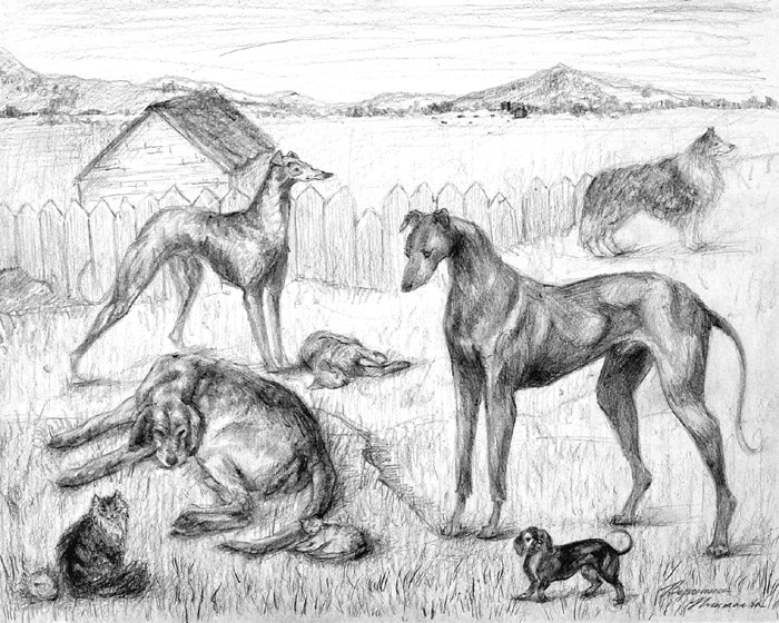 Animals_2