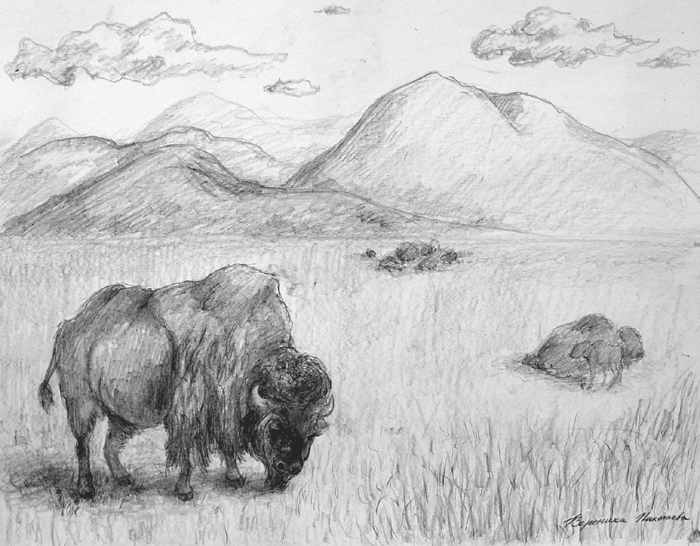 Buffalo