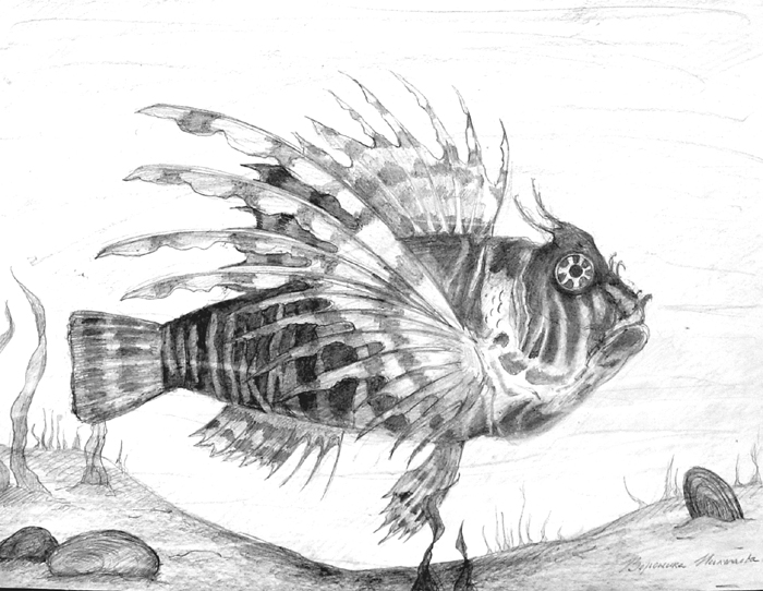 Fish