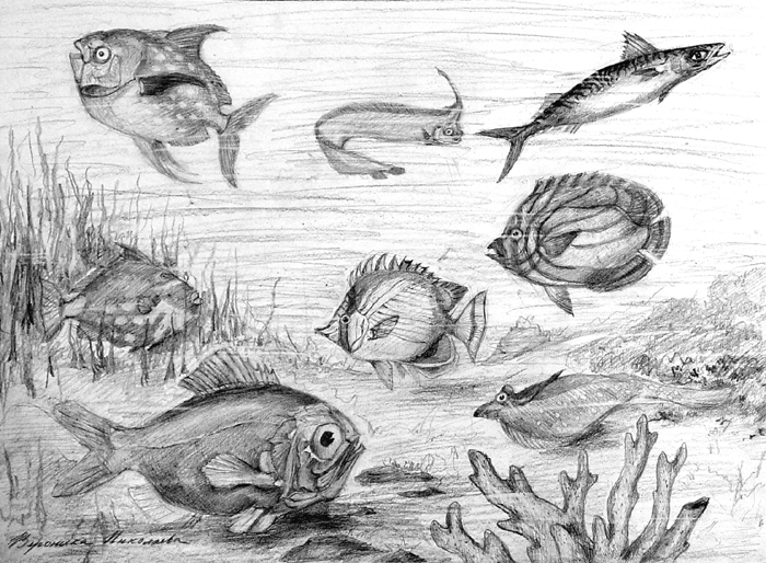 Fishes