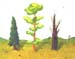 Tree_trees